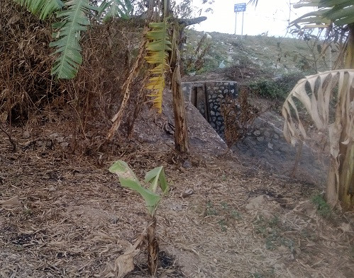 Nơi phát hiện thi thể nạn nhân.