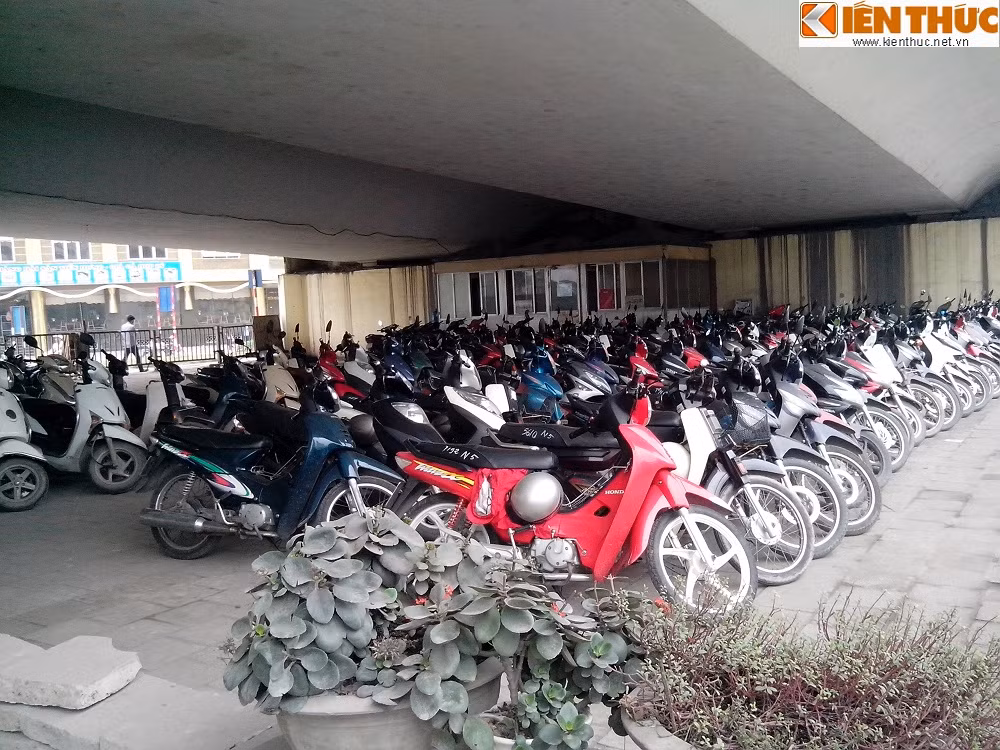 Phương tiện được gửi tại bãi giữ xe này chủ yếu là xe máy, ngoài ra còn có những chiếc ô tô đắt tiền được gửi xen kẽ.