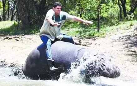 Năm 2011, câu chuyện "bạc tình, phản chủ” của chú hà mã 6 tuổi ở Nam Phi gây xôn xao dư luận. Sự việc là người chủ tên Marius đã cứu sống con hà mã, nuôi dưỡng và chăm chút con vật như thú cưng trong nhà. Nhưng khi con vật 6 tuổi, tính nết không nhu mì như xưa. Trong một phút nổi điên, nó đã cắn chết ân nhân của mình. 