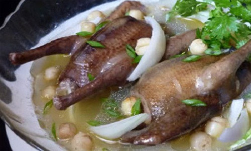 Chim bồ câu giúp phòng và trị viêm mũi dị ứng