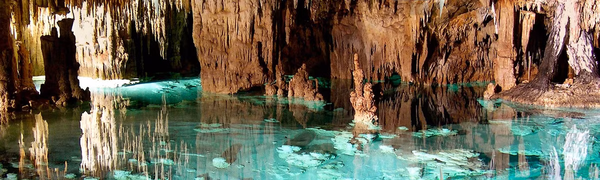 Ngoài đàn dơi và những con rắn treo, du khách còn có thể quan sát các hóa thạch động vật biển trên vách hang. Khu vực ngập nước của hang có những động vật giáp xác bạch tạng hoặc bị mù sinh sống như lươn mù, tôm mù. Ảnh: Civitatis.