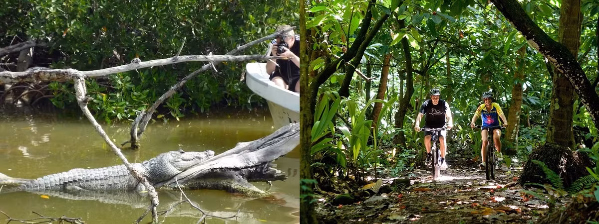 Ngoài trải nghiệm đặc biệt ở hang, du khách còn có thể chèo thuyền kayak ở phá nước Chichankanab cạnh đó và tìm hiểu về cá sấu trong môi trường sống tự nhiên, đạp xe xuyên rừng, lặn biển... Ảnh: Thetravel.