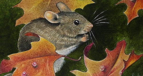 1 tuổi đen đủi nghèo khó. Tuổi Tý. 6 tháng đầu năm 2023 – năm Quý Mão, tuổi Tý gặp Mão sinh tương hình vô lễ nên cuộc sống của con giáp này gặp nhiều khó khăn, công việc bấp bênh, vướng phải nhiều thị phi.