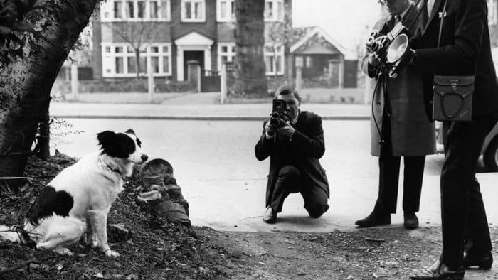 Vào đêm 27/3, một người đàn ông David Corbett rời căn hộ ở Norwood, South London cùng chú chó cưng Pickles. Trên đường đi, chú chó đánh hơi thấy gói giấy lạ bên bờ rào.