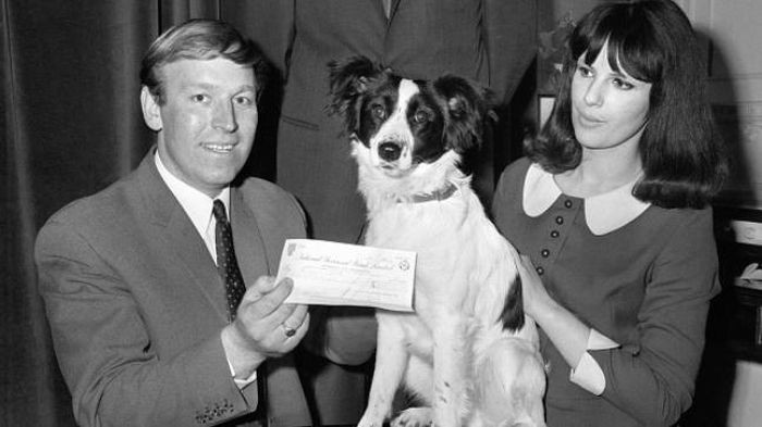 Lòng trung thực của David lại vô tình biến anh ta trở thành nghi phạm chính của vụ trộm trong con mắt của cảnh sát thành phố. "Tôi bị hơn 20 cảnh sát tra hỏi đến gần 3h sáng. Tôi nghĩ rằng lẽ ra mình nên mặc kệ chiếc cúp bên đường”, anh giải thích