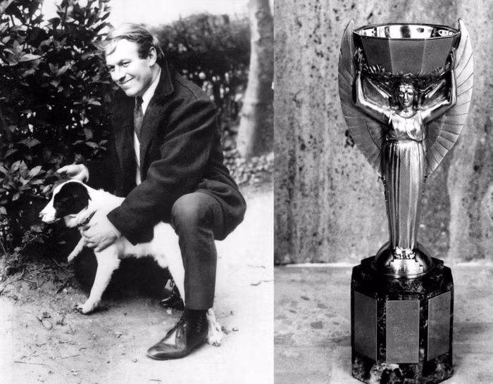 Cuộc điều tra cho thấy David không liên quan đến vụ án. Những bí ẩn xung quanh tung tích của bức tượng vẫn không được giải thích, song chỉ sau một đêm, David cùng chú chó Pickles bất ngờ trở thành những ngôi sao nổi tiếng và được thưởng gần 8.000 USD.