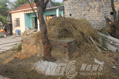 Ngôi mộ nằm trong đất của người dân, được TS. Nguyễn Việt xây bịt lại đậy nắp bê tông. Người dân dùng nắp hầm mộ làm đống rơm.