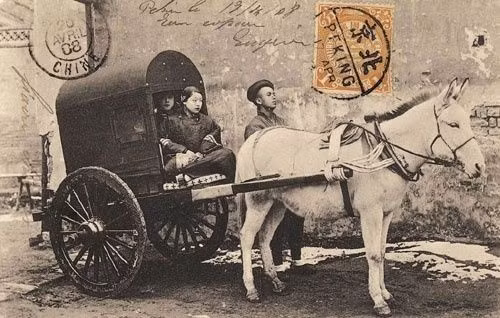 Một năm 4 lần, tức mỗi mùa, các tịnh thân sư đều trình Tổng quản Phủ nội vụ những đứa trẻ đã tịnh thân. Tịnh thân sư ký một bản giao kèo với cha mẹ hoặc người giám hộ của đứa trẻ, gọi là "văn thư", để tránh phiền phức về sau. Nhưng điều quan trọng là tịnh thân sư coi đó là bằng chứng. Sau này, khi đứa trẻ giàu sang, tịnh thân sư sẽ hưởng một khoản tiền.