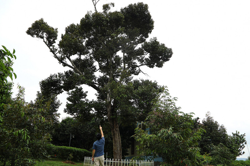 Kinh ngạc với những nông dân ở “xứ sầu” về mức độ giàu có Kinh ngac voi nhung nong dan o “xu sau” ve muc do giau co