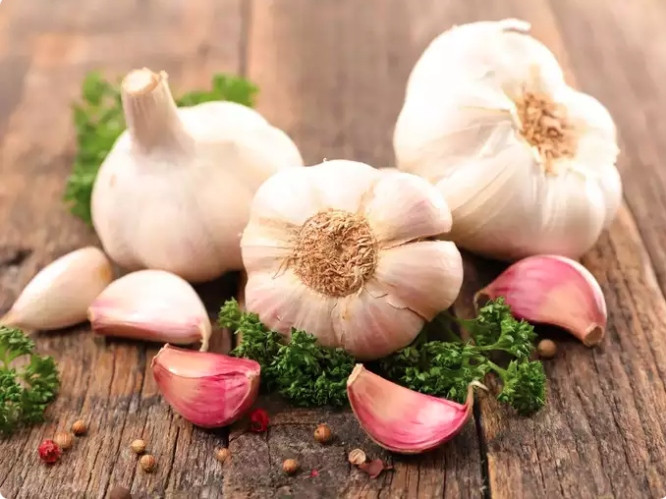  Đặc tính chống viêm: Mùa đông thường gây đau khớp và viêm. Đặc tính chống viêm của tỏi có thể giúp giảm bớt những khó chịu này. Các hợp chất lưu huỳnh trong tỏi hỗ trợ giảm viêm, khiến nó trở thành một món bổ sung hương vị cho bữa ăn mùa đông để giảm đau nhức.