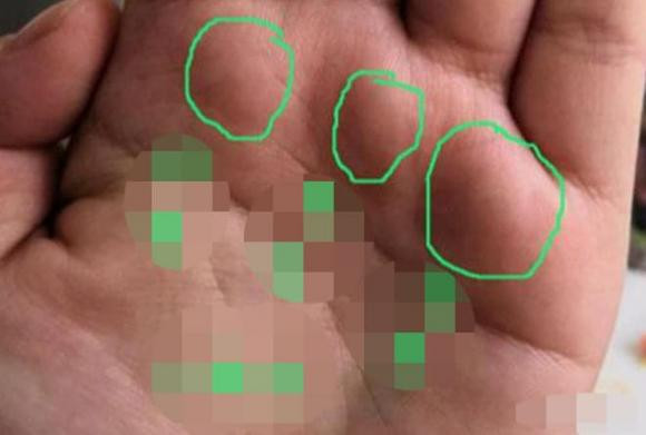 Long ban tay co ba dinh se mang lai phu quy-Hinh-2