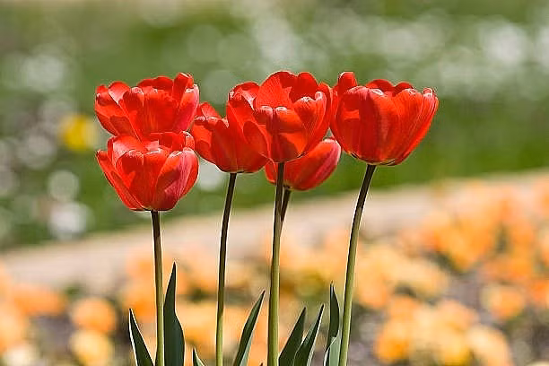 Tu thang 2, ba con giap len nhu dieu gap gio