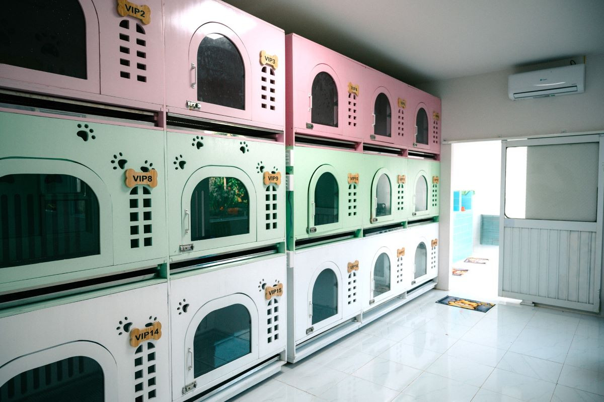 Chủ spa, khách sạn thú cưng "hái tiền" dịp Tết Nguyên đán - Hình 3 Chu spa, khach san thu cung