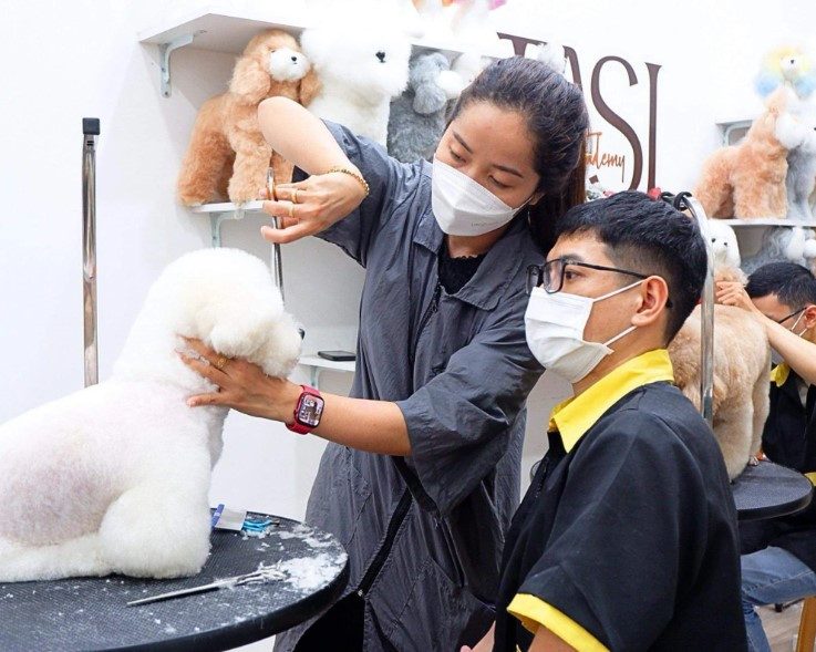 Chủ spa, khách sạn thú cưng "hái tiền" dịp Tết Nguyên đán Chu spa, khach san thu cung