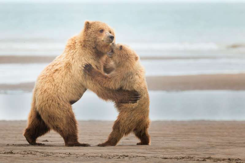 "Cùng học điệu walts nhé"./.