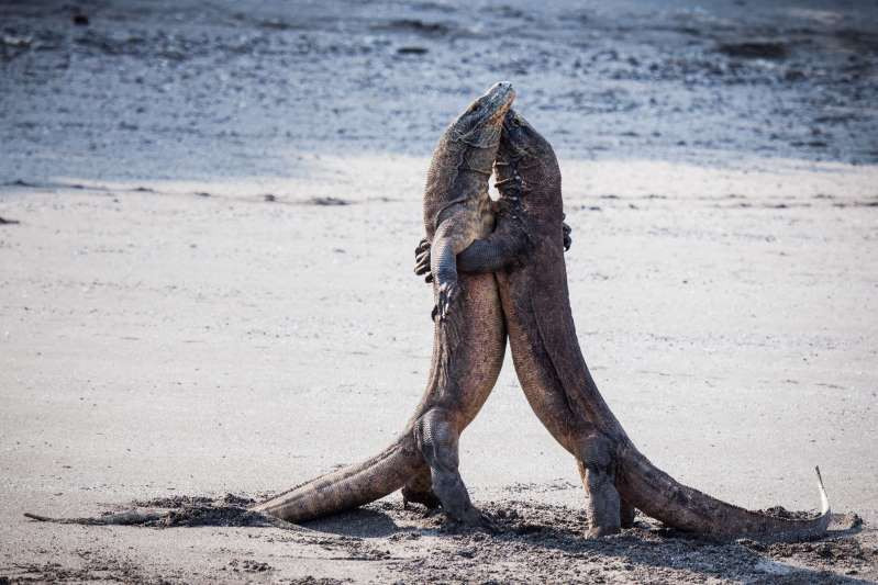 "Nào mình cùng tango nhé".