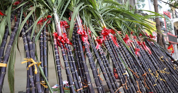 Von it, lai “khung” tu viec ban muoi, mia ngay Tet-Hinh-2