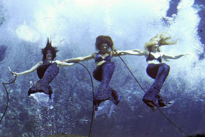 Weeki Wachee Springs ở Florida, Mỹ là một trong những hang động tự nhiên dưới nước lớn nhất ở Mỹ. Nơi đây nổi tiếng là thành phố duy nhất có 5 nàng tiên cá. 