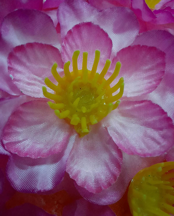 Camera chup can – macro tren Galaxy A51 co gi 