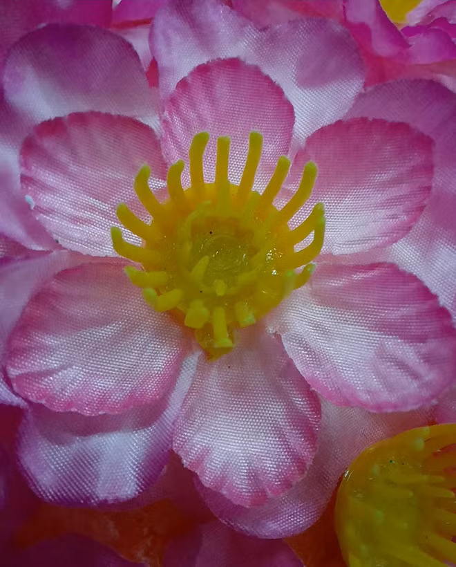 Camera chup can – macro tren Galaxy A51 co gi 