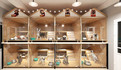 “Hot bac” tu dich vu cho nha giau Viet thue khach san cho thu cung