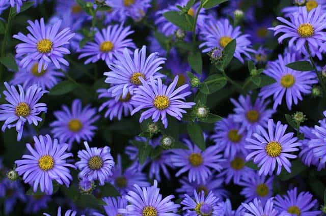 Người sinh vào 5 ngày Âm lịch này, sức khỏe dồi dào, xòe tay đón lộc - Hình 3 Nguoi sinh vao 5 ngay Am lich nay, suc khoe doi dao, xoe tay don loc-Hinh-3