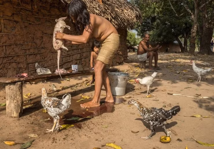 Khám phá cuộc sống bí ẩn của bộ tộc du mục cuối cùng ở Amazon - Hình 3 Kham pha cuoc song bi an cua bo toc du muc cuoi cung o Amazon-Hinh-3