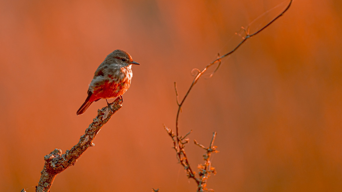 Nguoi sinh thang Am lich nay IQ cuc pham, EQ xuat sac, gioi kiem tien-Hinh-2