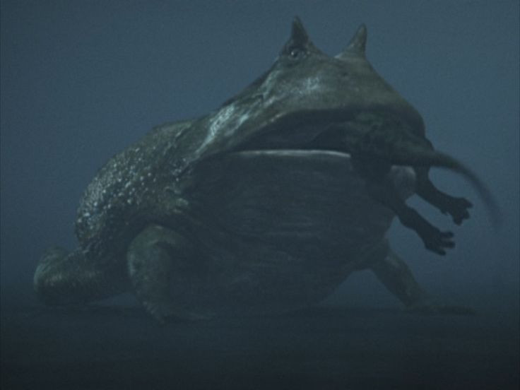  7. Bộ xương hóa thạch được tìm thấy ở Madagascar. Các hóa thạch của Beelzebufo được phát hiện ở Madagascar vào năm 1993, và sau nhiều năm nghiên cứu, loài này chính thức được mô tả vào năm 2008, gây chú ý lớn trong giới khoa học. Ảnh: Pinterest.