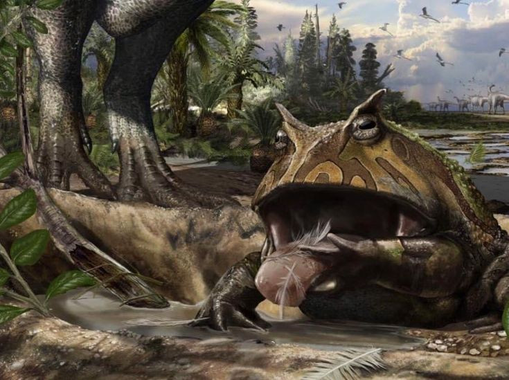  2. Được đặt tên theo quỷ Satan. Tên khoa học "Beelzebufo" kết hợp từ "Beelzebub" (một trong những tên gọi của quỷ Satan) và "bufo" (có nghĩa là ếch trong tiếng Latin), phản ánh vẻ ngoài đáng sợ của loài vật này. Ảnh: Pinterest.