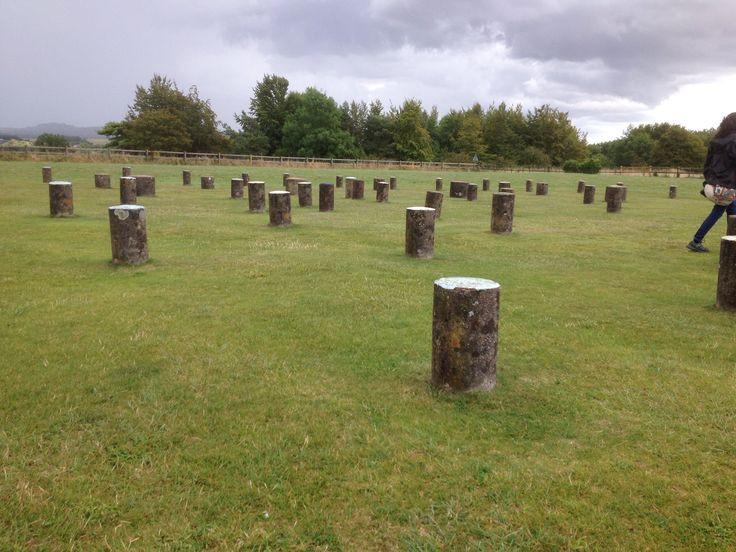  4. Cấu trúc gồm sáu vòng đồng tâm. Các cột gỗ được sắp xếp thành sáu vòng tròn đồng tâm, có thể phục vụ mục đích nghi lễ hoặc thiên văn, tương tự như cách người cổ đại sử dụng Stonehenge. Ảnh: Pinterest.