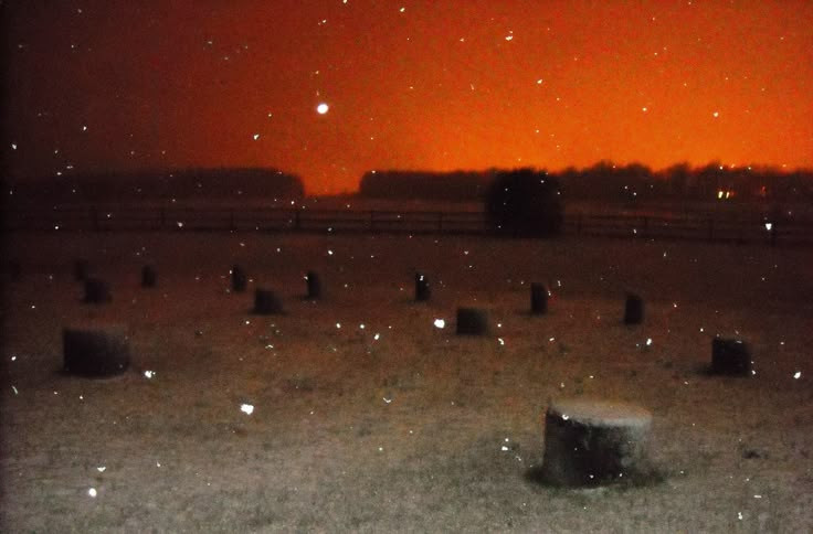  5. Một ngôi mộ trẻ em được tìm thấy ở trung tâm. Trong quá trình khai quật, các nhà khảo cổ phát hiện hài cốt của một đứa trẻ ở trung tâm của Woodhenge, cho thấy khả năng nơi này từng là một khu vực hiến tế hoặc có ý nghĩa tâm linh. Ảnh: Pinterest.