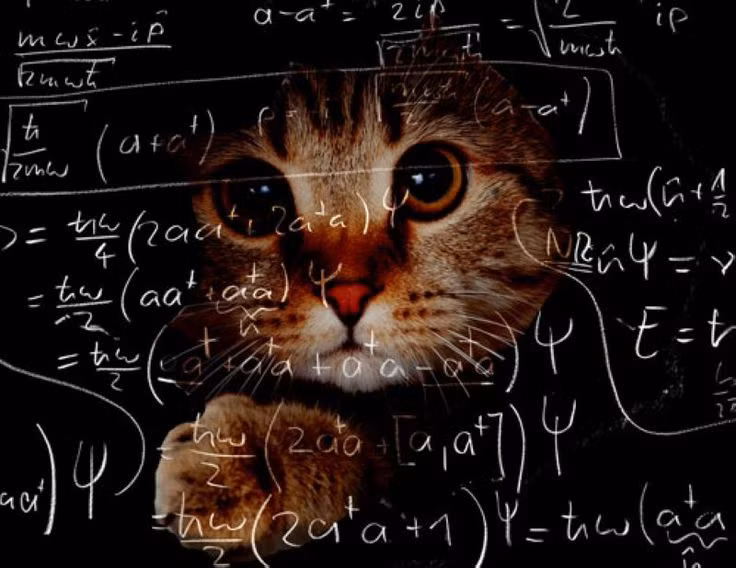  5. Gợi cảm hứng cho nhiều cách hiểu khác nhau. Thí nghiệm này đã dẫn đến nhiều cách hiểu khác nhau về cơ học lượng tử, bao gồm cả giả thuyết thế giới song song, nơi mỗi khả năng xảy ra trong một vũ trụ riêng biệt. Ảnh: Pinterest.