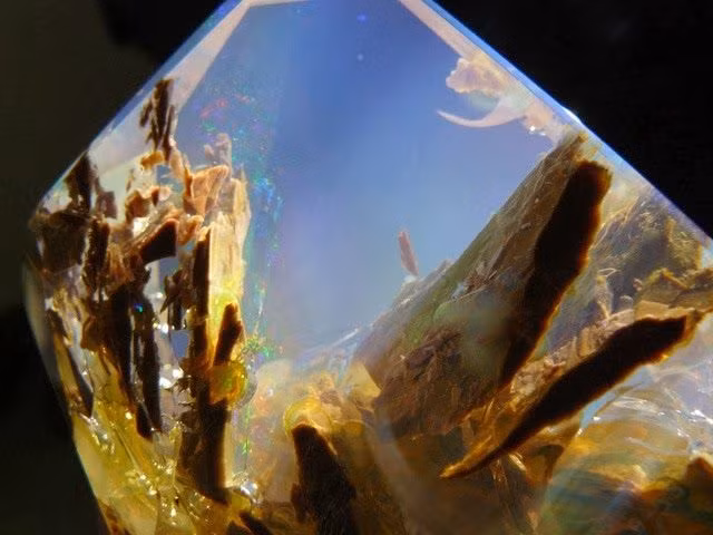  6. Có thể hình thành từ xương hóa thạch. Trong một số trường hợp hiếm, opal có thể lắng đọng bên trong xương hóa thạch của động vật cổ đại, tạo ra những mẫu vật tuyệt đẹp. Điều này khiến chúng trở thành kho báu độc đáo của giới sưu tầm. Ảnh: Pinterest.