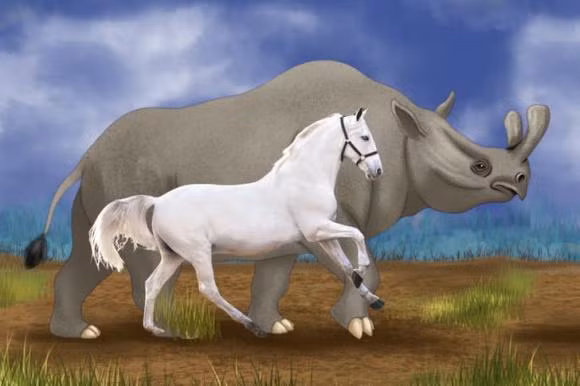 Ngựa: Ngựa thường được sử dụng như một biểu tượng của sự sang trọng, quý phái và tốc độ. Nhưng ngựa thời tiền sử - Brontotheriidae là một con vật giống tê giác hơn. Chúng có thân hình nặng nề, có dáng xe tăng chậm chạp, đôi chân tương đối ngắn và đôi sừng có hình thù kỳ dị.