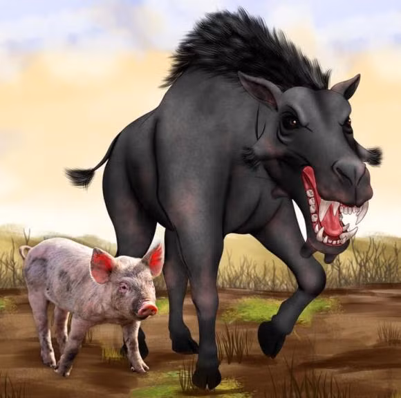  Lợn là sinh vật thông minh, mạnh mẽ, cồng kềnh và nhanh nhẹn, đó là thành quả của quá trình tiến hóa. Tuy nhiên, trong quá khứ, những con lợn lớn hơn, mạnh hơn và trông đáng sợ hơn nhiều. Chúng có những chiếc răng nanh lớn. Tổ tiên của lợn - Entelodon là một loài động vật ăn tạp, có khả năng tấn công để dễ dàng hạ gục con mồi