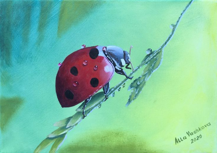  2. Chúng là những "chiến binh" bảo vệ cây trồng. Bọ rùa là thiên địch của rệp – loài côn trùng gây hại cho cây trồng. Một con bọ rùa có thể ăn hàng trăm con rệp mỗi ngày, giúp nông dân kiểm soát sâu bệnh một cách tự nhiên. Ảnh: Pinterest.