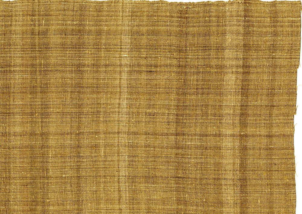  8. Được nuôi để lấy tơ. Một số nơi, đặc biệt là ở Ấn Độ, người ta nuôi bướm khế để lấy tơ từ nhộng tằm của chúng. Loại tơ này có màu nâu ánh vàng và khá bền, đôi khi được sử dụng để làm các loại vải đặc biệt. Ảnh: Mississippi Entomological Museum.