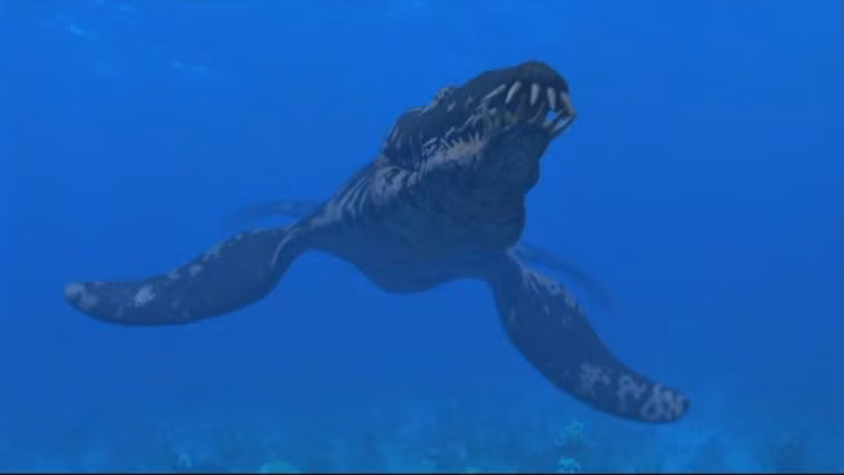  8. Xuất hiện trong loạt phim tài liệu "Walking with Dinosaurs". Liopleurodon trở nên nổi tiếng nhờ loạt phim tài liệu "Walking with Dinosaurs" của BBC. Tuy nhiên, trong phim, kích thước của nó bị phóng đại lên đến 25 mét, trong khi thực tế nó chỉ đạt khoảng 6-10 mét. Ảnh: Pinterest.
