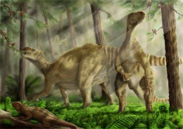  7. Iguanodon có thể sống theo bầy đàn. Các bằng chứng hóa thạch cho thấy loài này có thể đã sống theo nhóm để bảo vệ nhau khỏi những kẻ săn mồi. Ảnh: Pinterest.