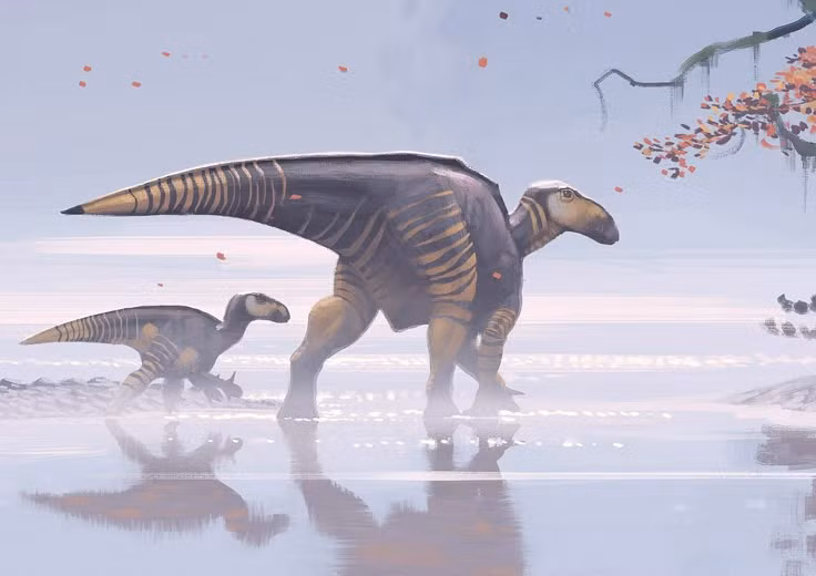  1. Iguanodon là loài khủng long đầu tiên được mô tả. Iguanodon được nhà khoa học Gideon Mantell phát hiện vào năm 1825, trở thành một trong những loài khủng long đầu tiên được đặt tên chính thức. Ảnh: Pinterest.