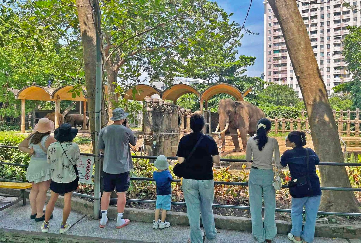 Du khách trong nước và nước ngoài thích thú khi tới Thảo Cầm Viên Sài Gòn