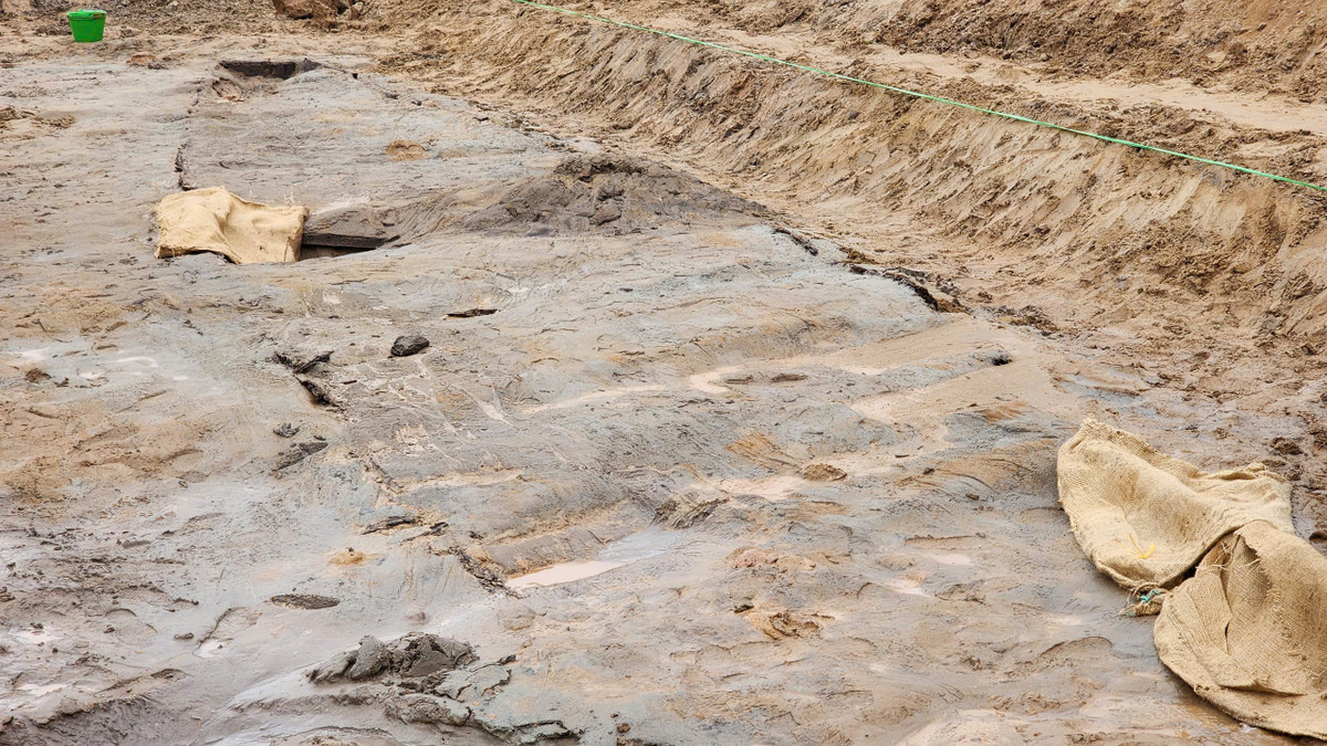  7. Được khai quật để phục vụ nghiên cứu. Các chuyên gia đang tiến hành khai quật bảo quản hai chiếc thuyền để nghiên cứu sâu hơn về lịch sử, kỹ thuật và vai trò của chúng trong quá khứ. Ảnh: Phùng Đô / Báo Giao Thông.