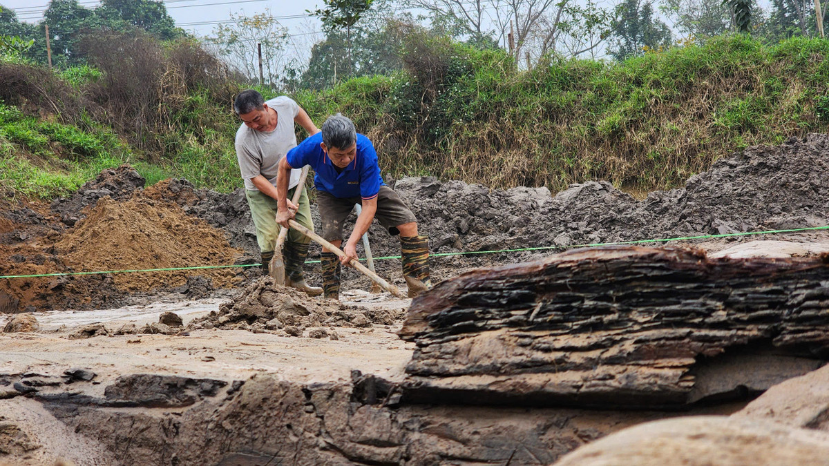  3. Được làm từ một thân cây duy nhất. Cả hai chiếc thuyền đều được đục đẽo từ một thân cây lớn, cho thấy một kỹ thuật chế tác đặc trưng của người xưa. Ảnh: Phùng Đô / Báo Giao Thông.