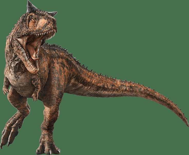 1. Được phát hiện ở Nam Mỹ. Hóa thạch đầu tiên và duy nhất của Carnotaurus được tìm thấy ở Argentina vào năm 1984 bởi nhà cổ sinh vật học José Bonaparte. Ảnh: Pinterest.