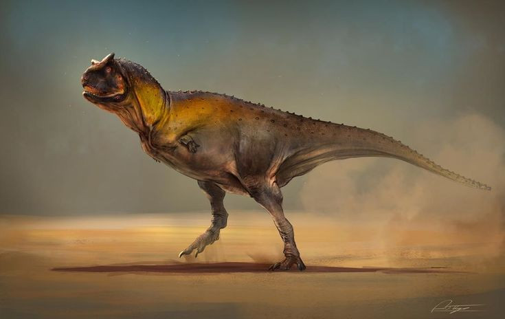 2. Có cánh tay nhỏ hơn cả T. rex. Dù khủng long bạo chúa T. rex nổi tiếng với cánh tay nhỏ, nhưng Carnotaurus thậm chí còn có cánh tay nhỏ hơn và gần như vô dụng. Ảnh: Pinterest.