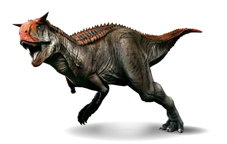 5. Cơ thể có lớp vảy đặc biệt. Carnotaurus là một trong số ít khủng long ăn thịt có hóa thạch da được bảo tồn, cho thấy nó có lớp vảy và không có lông vũ, có thể có màu sắc giúp ngụy trang trong môi trường. Ảnh: Pinterest.