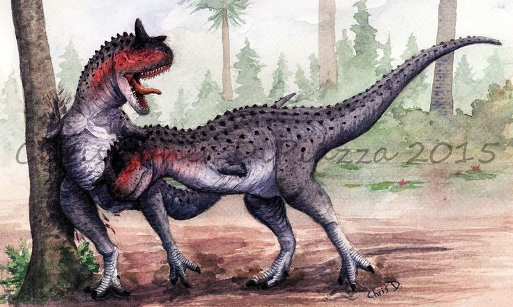 6. Là một trong những loài khủng long có tốc độ cao. Carnotaurus có đôi chân dài và cơ thể nhẹ, giúp nó chạy rất nhanh, có thể đạt tốc độ lên đến 48 km/h. Ảnh: Pinterest.