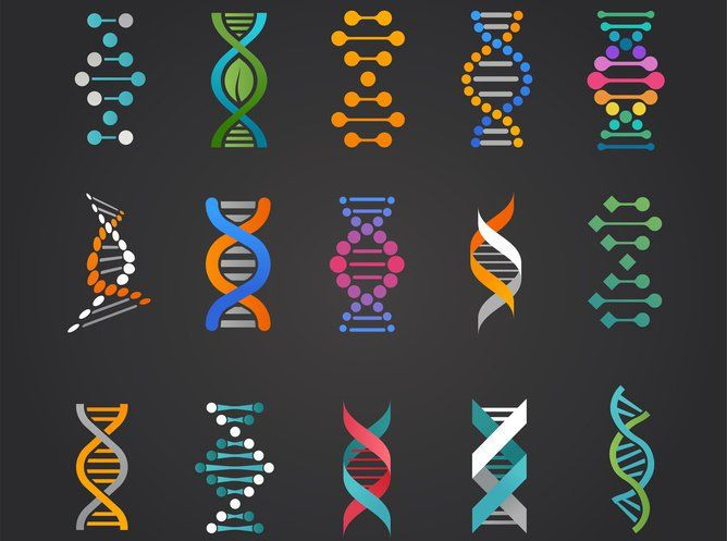  2. Có thể xảy ra tự nhiên hoặc do tác động bên ngoài. Đột biến có thể xuất hiện một cách ngẫu nhiên trong quá trình sao chép ADN hoặc do tác động của các yếu tố môi trường như tia UV, hóa chất hoặc phóng xạ. Ảnh: Pinterest.