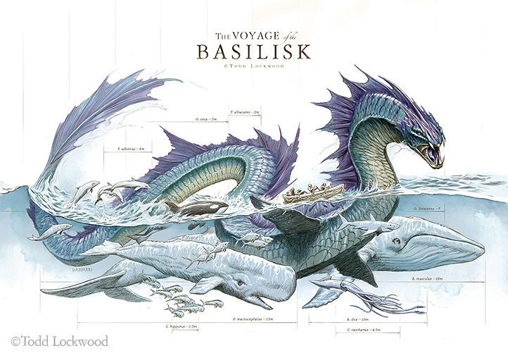  7. Gương soi là vũ khí chống lại Basilisk. Vì có ánh nhìn chết chóc, Basilisk có thể tự giết chính mình nếu nhìn vào hình ảnh phản chiếu trong gương. Đây là một cách phổ biến trong truyện dân gian để tiêu diệt sinh vật huyền thoại này. Ảnh: Pinterest.